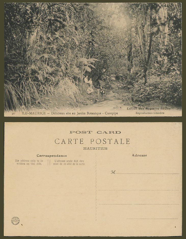 Mauritius Old Postcard Curepipe Delicieux site a Jardin Botanique Botanic Garden
