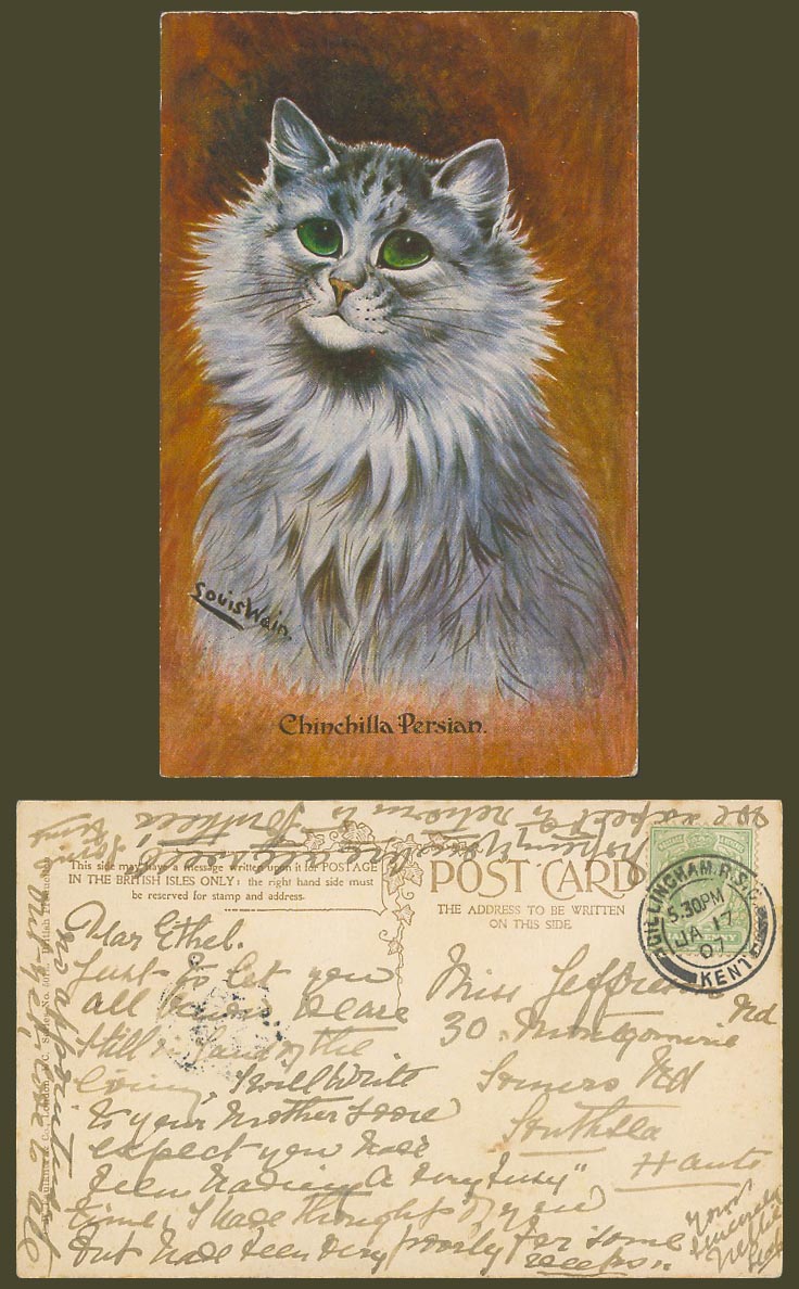 Louis Wain Artist Signed Chinchilla Persian Cat Kitten 1907 Old Postcard CW 507E