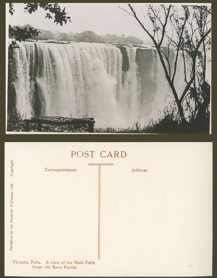 Rhodesia Rails Old Real Photo Postcard Victoria Falls Main Fall from Rain Forest