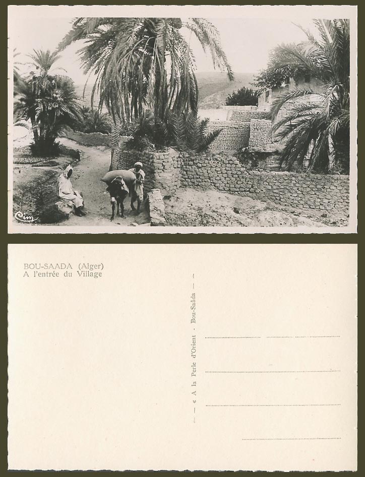 Algeria Old RP Postcard Alger, Bou Saada Bou-Saada A lentree du Village Entrance