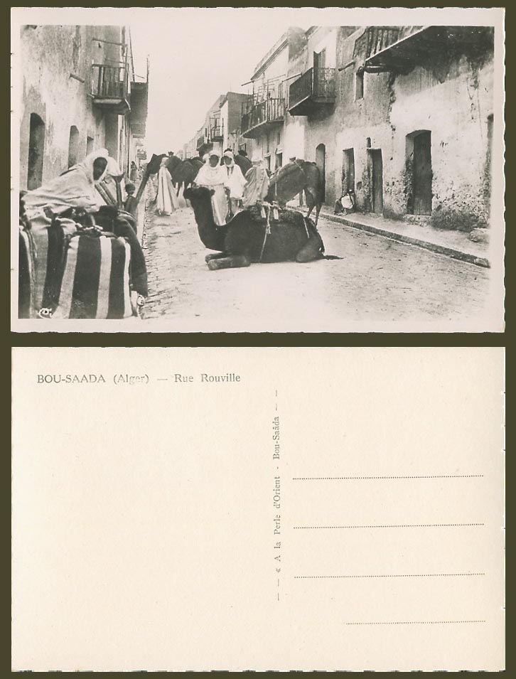 Algeria Old Real Photo Postcard Alger Bou-Saada, Rue Rouville Street Scene Camel