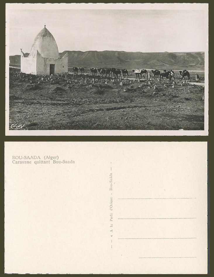 Algeria Old Real Photo Postcard Alger Bou-Saada Caravane quittant Camel Caravan