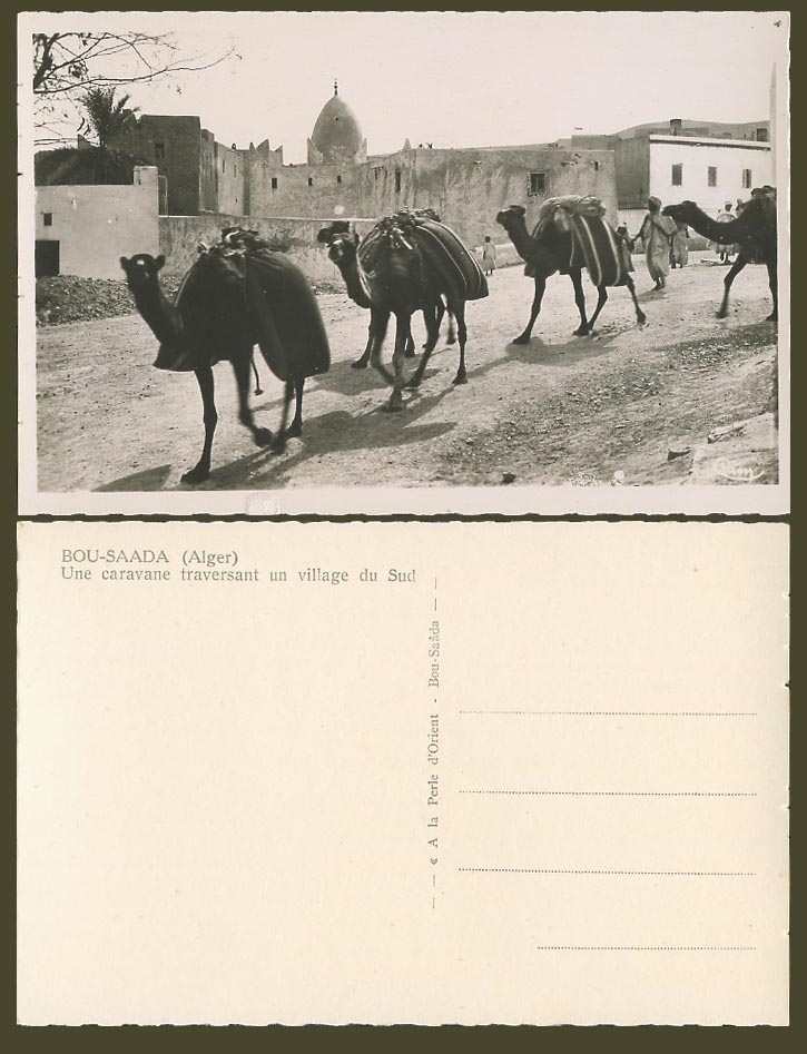 Algeria Old Real Photo Postcard Alger Bou-Saada, Camel Caravan, Village in South