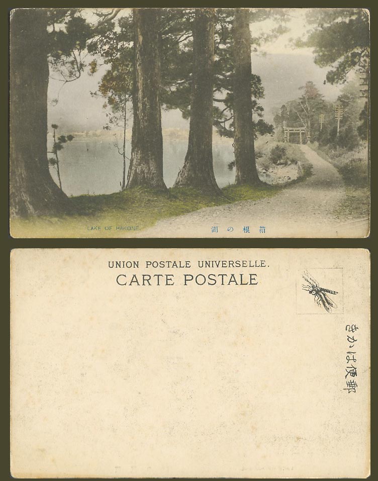 Japan Old Hand Tinted UB Postcard Lake of Hakone Torii Gate Ashi Pine Trees 箱根之湖