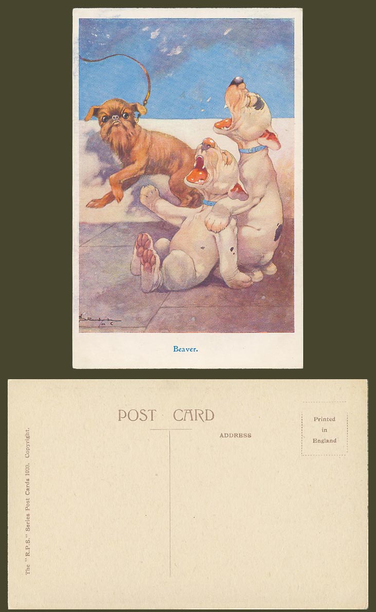 BONZO DOG GE Studdy Old Postcard BEAVER, Brussels Griffon Dog, Dogs Puppies 1020