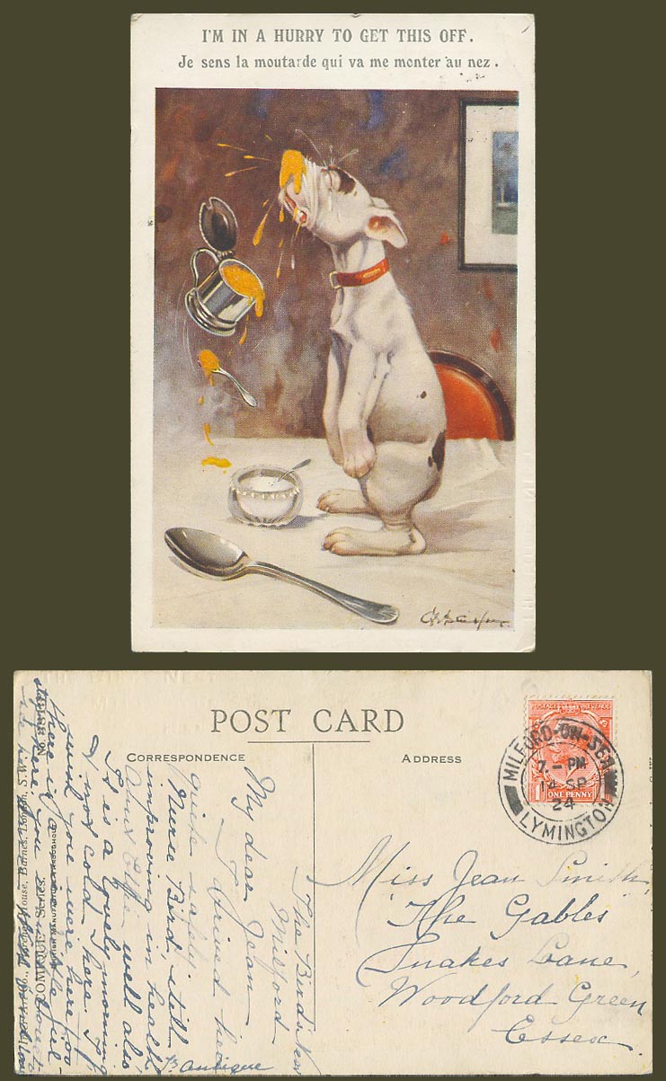 BONZO DOG GE Studdy 1924 Old Postcard I'm in a Hurry to Get This Off. Sauce 3813