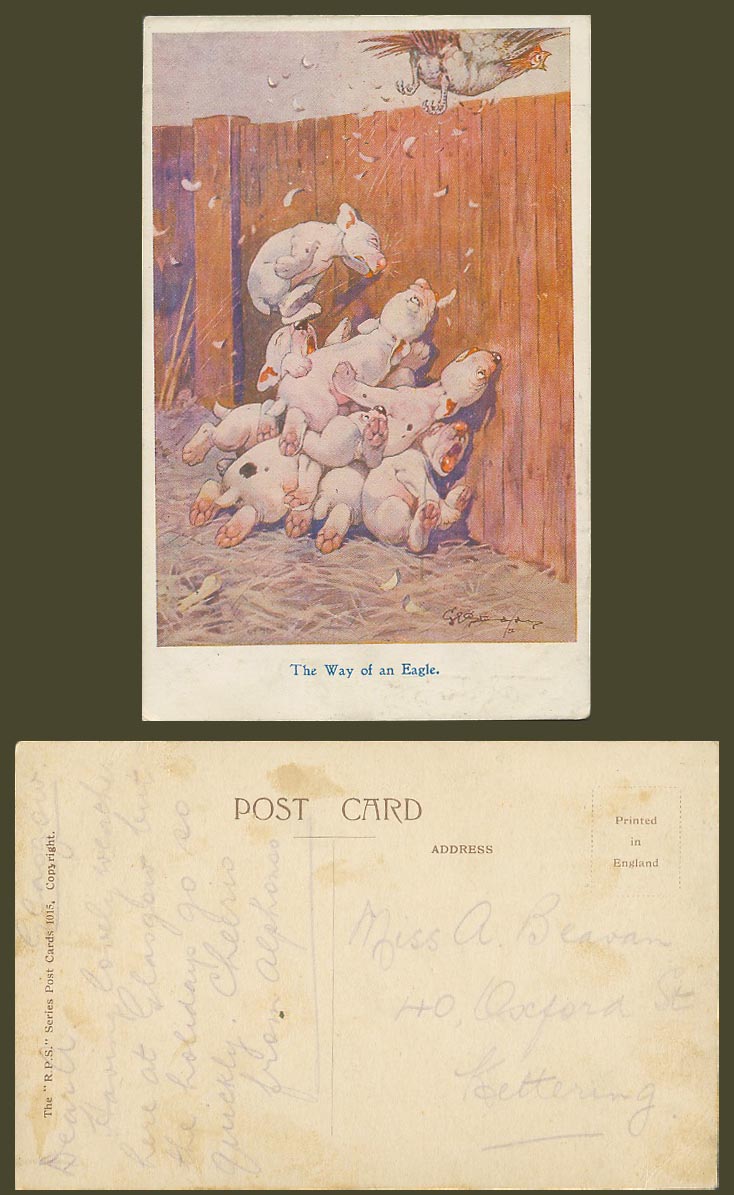 BONZO DOG GE Studdy Old Postcard The Way of an Eagle Chicken Bird Puppies N.1015