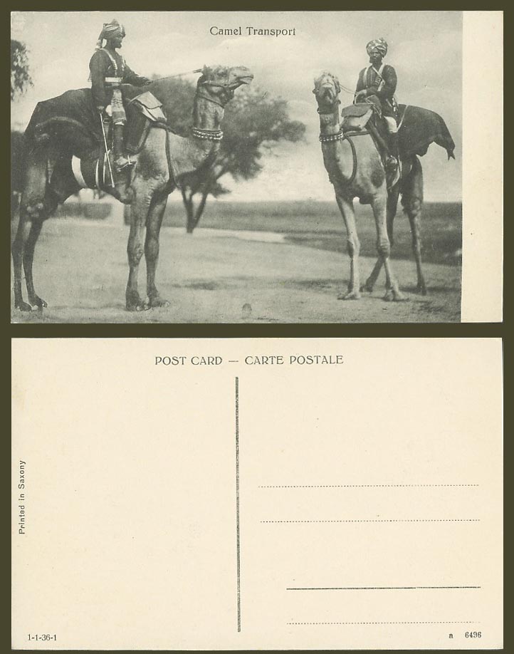 India Pakistan Old Postcard Camel Transport, Native Camels Riders, Ethnic Life