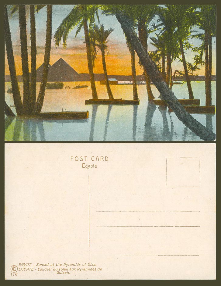 Egypt Old Postcard Sunset at Pyramids of Giza Guizeh Nile River Flood Palm Trees