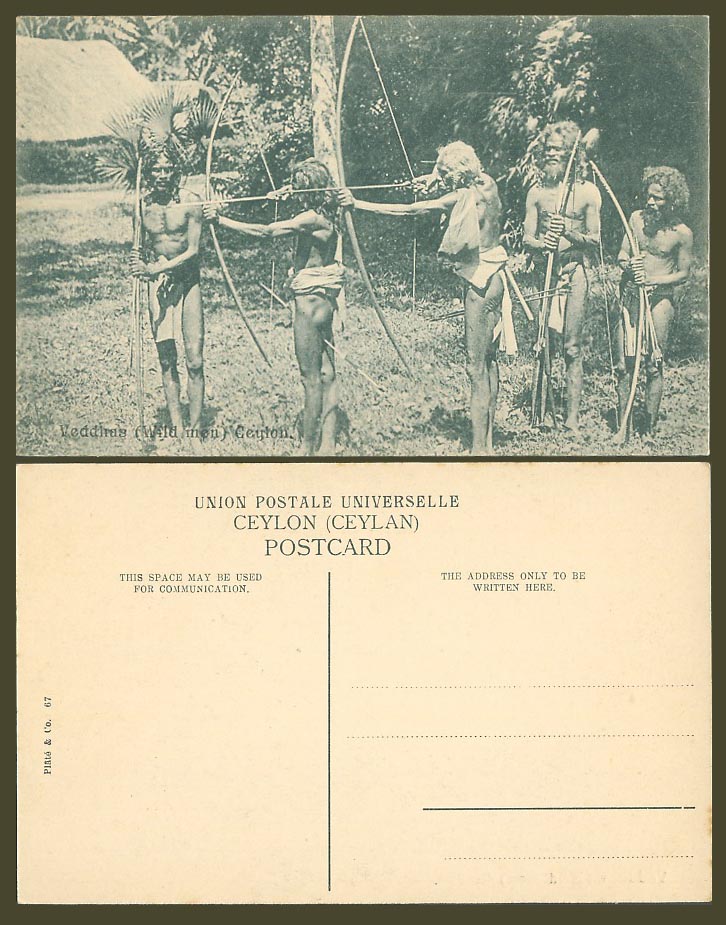 Ceylon Old Postcard VEDDAHS WILD MEN ARCHERY Native Hunters with Bow & Arrow 67.