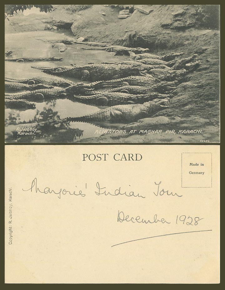 Pakistan India 1928 Old Postcard Alligators Aligators at Maghar Pir Pier Karachi