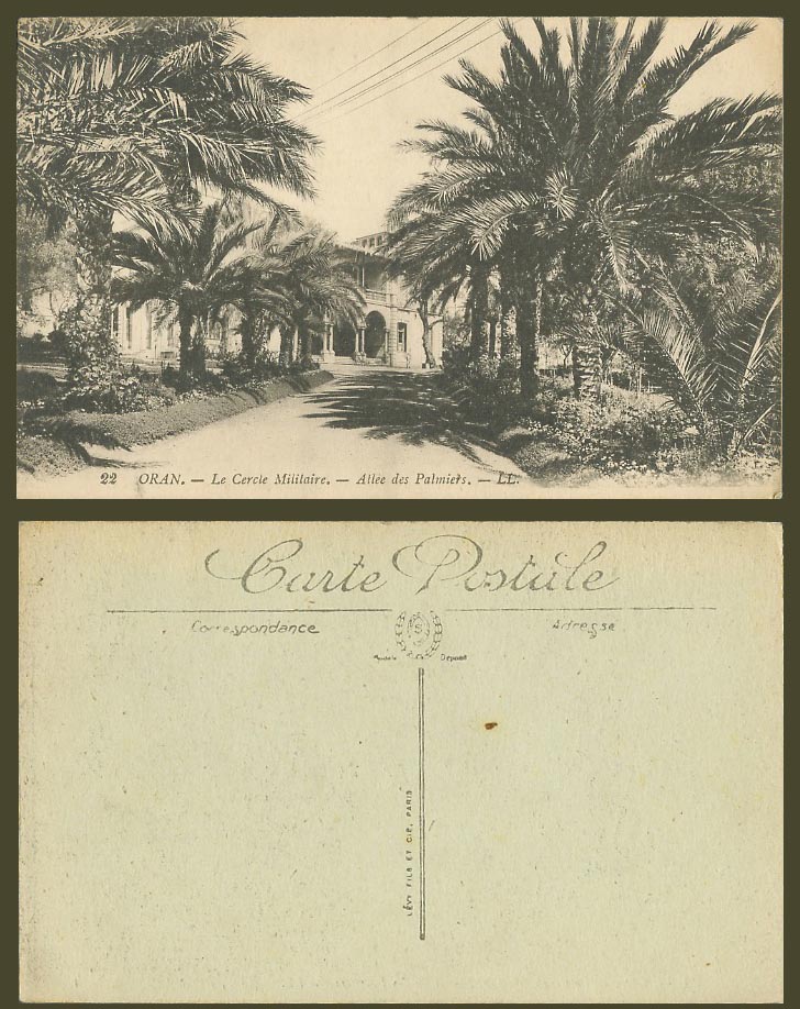 Algeria Old Postcard ORAN Cercle Militaire Military Circle Gardens Palm Trees LL