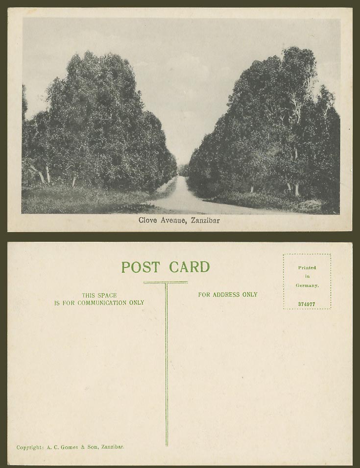 Zanzibar Tanzania Old Postcard Clove Avenue, Tree-Lined Street Road Scene Trees