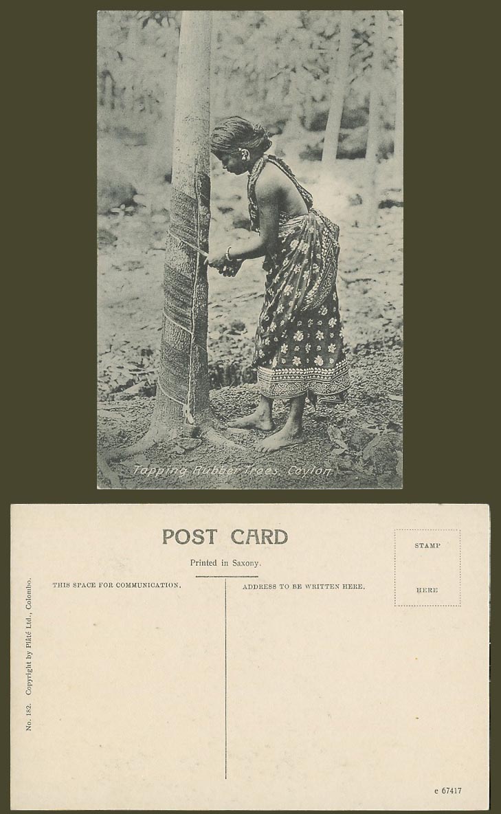 Ceylon Old Postcard Native Woman Tapper Tapping Rubber Trees English Method 182.