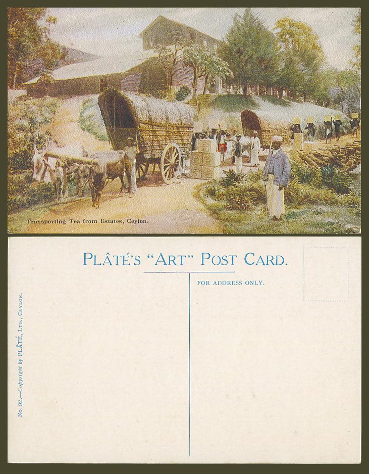Ceylon Old Postcard Transporting Tea from Estates Double Bullock Cart Workers 92