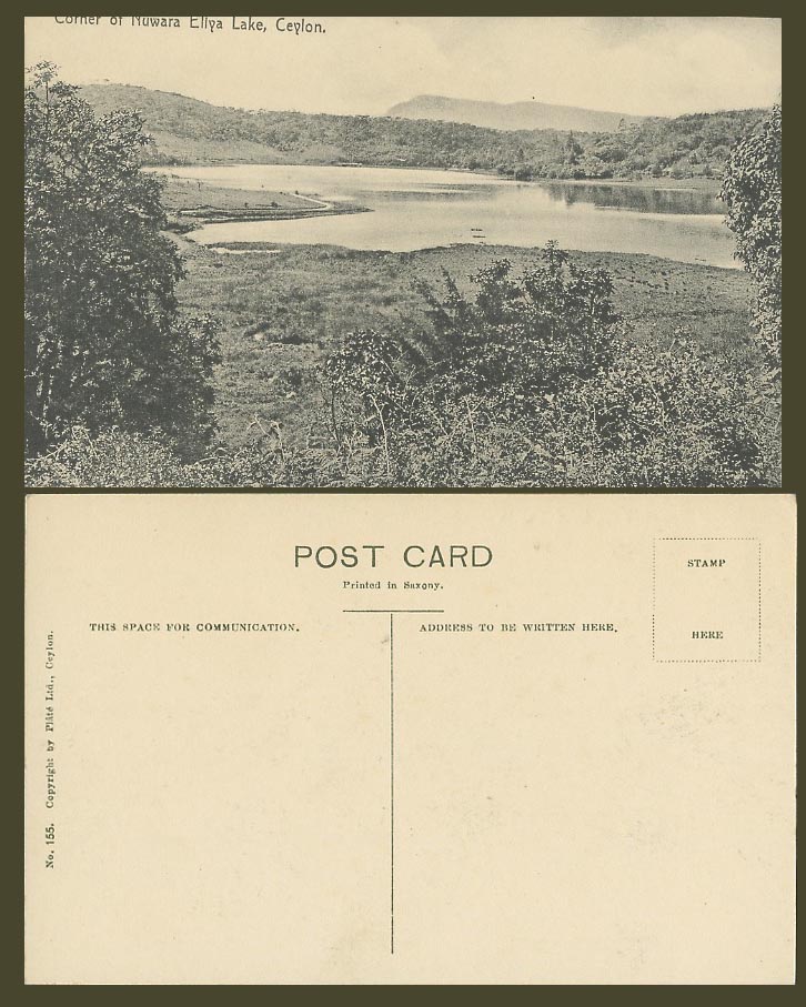 Ceylon Old Postcard Corner of Nuwara Eliya Lake, Hills Panorama Plate Ltd No.155