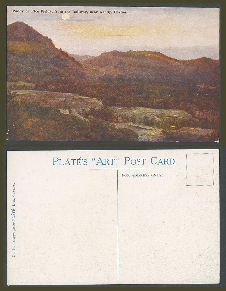 Ceylon Old Postcard Paddy or Rice Fields from The Railway, Kandy, Plate's Art 29
