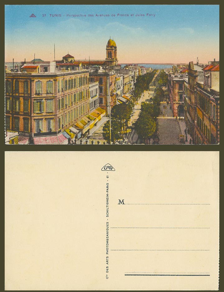 Tunisia Old Postcard Tunis, Avenues de France et Jules Ferry Avenue Street Scene