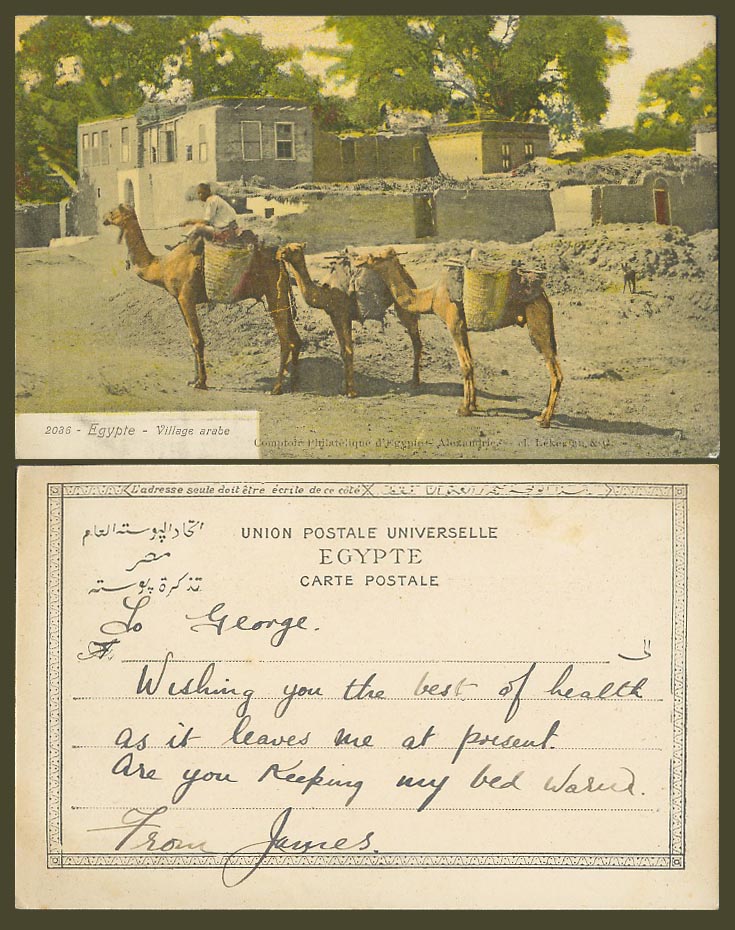 Egypt Old Colour Postcard Egypte Arab Village Arabe, Camels Camel Rider No. 2035