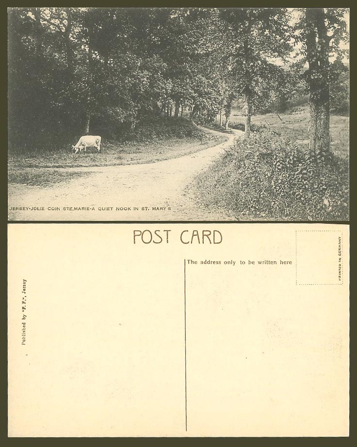 Jersey Jolie coin Ste. Marie A Quiet Nook in St. Mary's, Cow Cattle Old Postcard