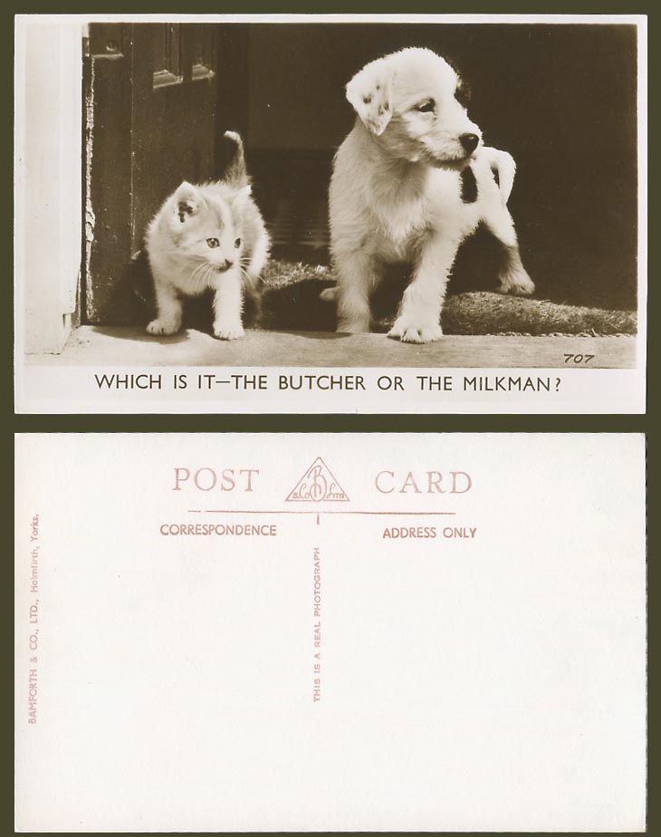 Cat Kitten Dog Puppy Which is it Butcher or The Milkman? Old Real Photo Postcard