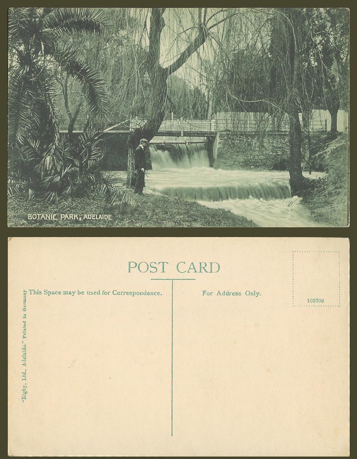 Australia Old Postcard Adelaide Botanic Park, Waterfall Water Fall Bridge, Rigby