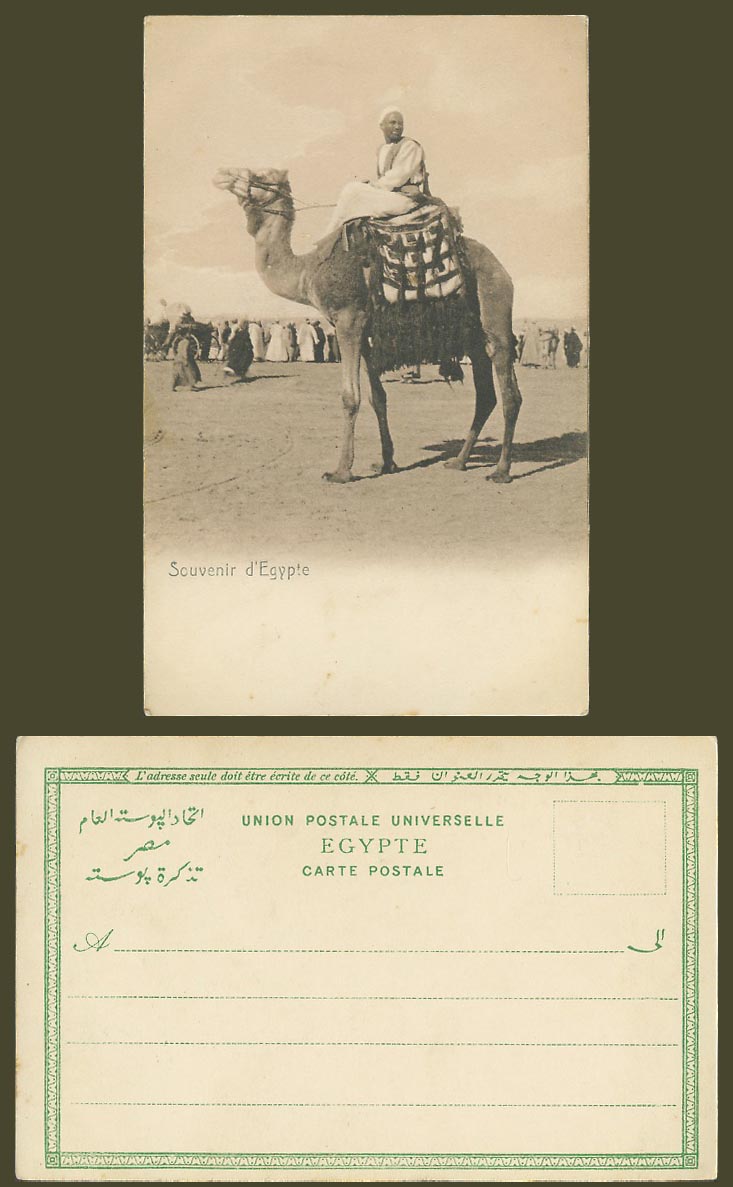 Egypt Old UB Postcard Souvenir d'Egypte Native Egyptian Camel Rider, Ethnic Life