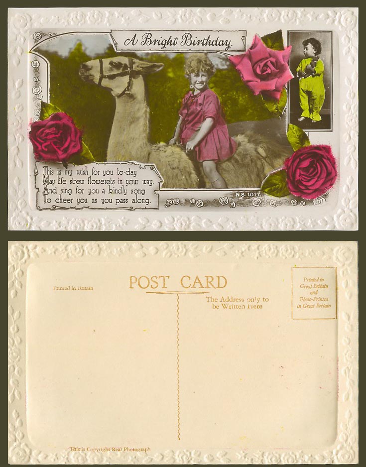 Girl Riding Llama Teddy Bear Rose Flowers A Bright Birthday Old R Photo Postcard