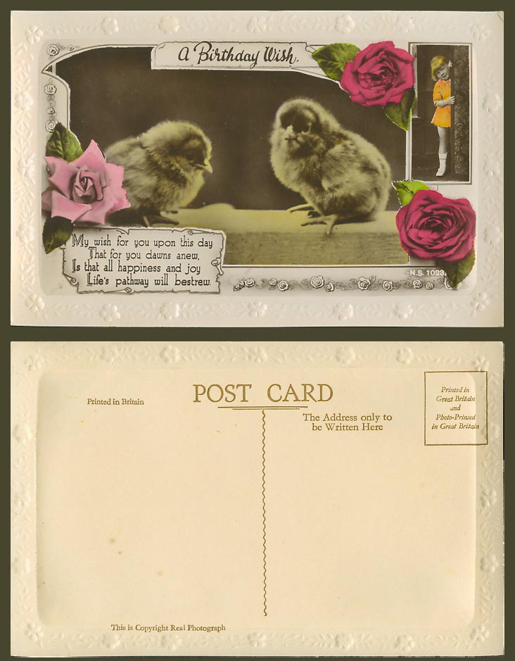 Girl and Chicks Birds A Birthday Wish Rose Flowers Greetings Old Colour Postcard