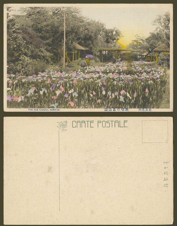 Japan Old Hand Tinted Postcard The Iris Garden Horikiri Tokyo, Shobuyen 東京 堀切菖蒲園