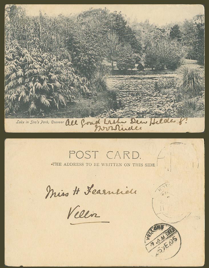 India 1905 Old UB Postcard Lake in Sims Sim's Park, Coonoor, Undivided Back