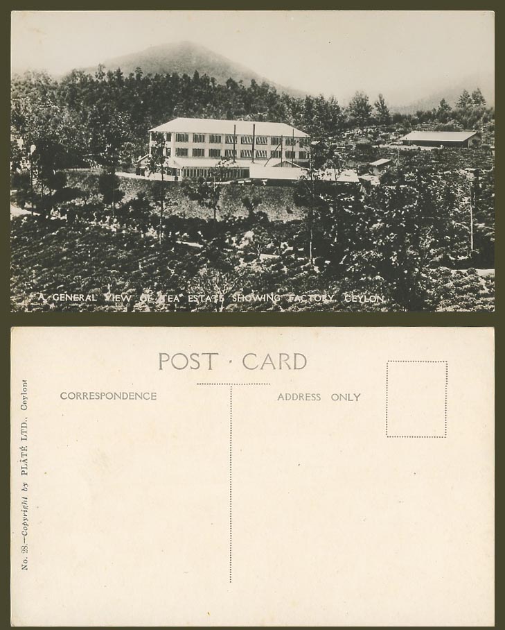 Ceylon Old Real Photo Postcard TEA ESTATE General View Showing FACTORY, Panorama
