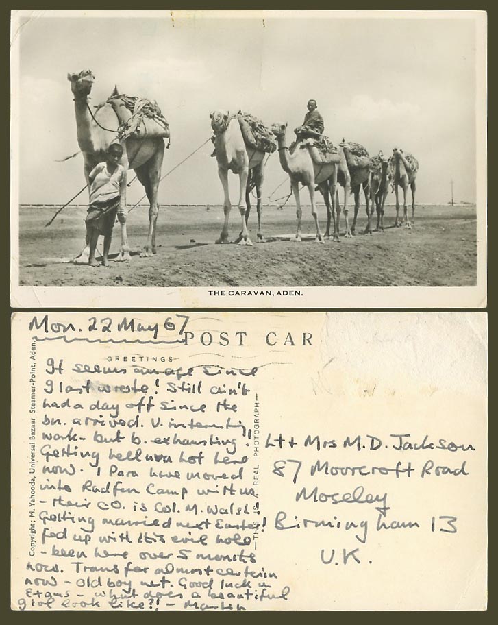 Aden 1967 Old Real Photo Postcard The Caravan Camels Camel Rider Yemen M Yahooda