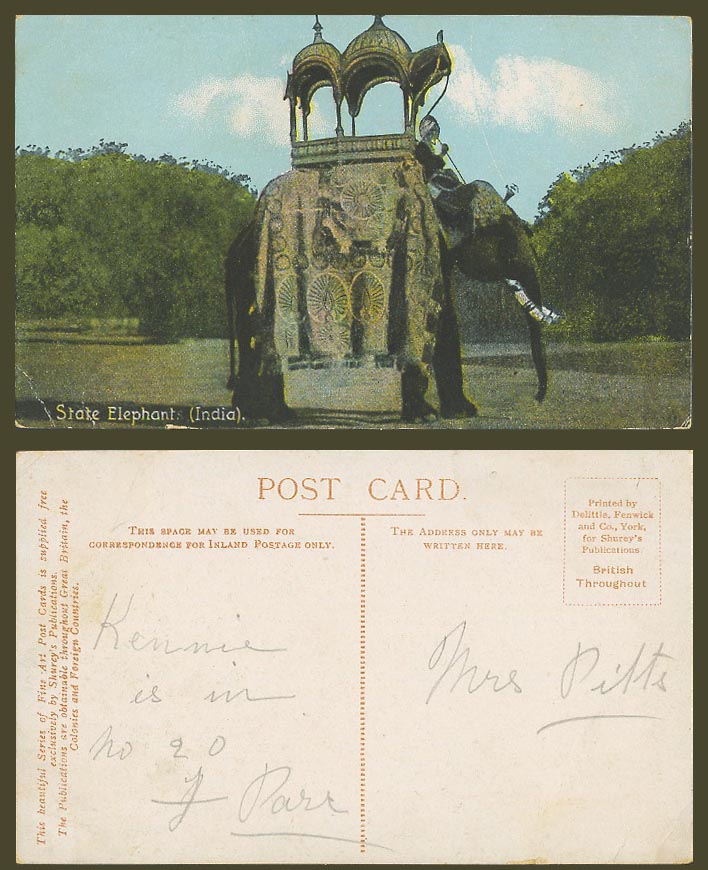India Old Colour Postcard STATE ELEPHANT Chair on Top - Native Rider Ethnic Life
