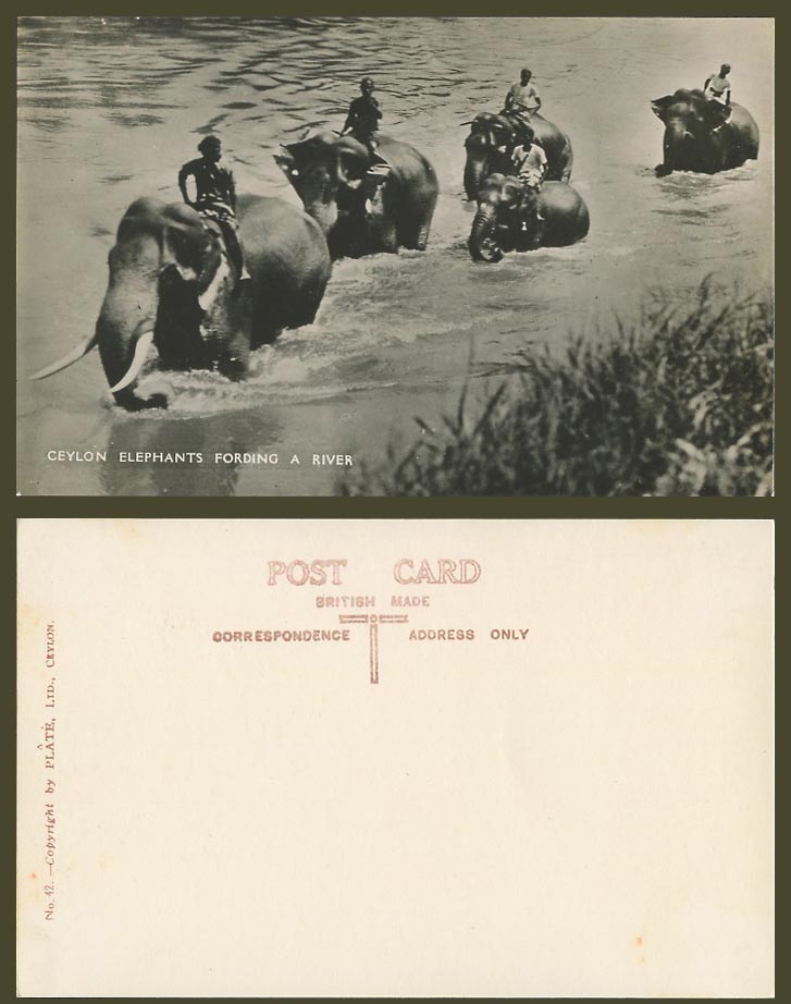 Ceylon Old Real Photo Postcard Elephants Fording a River, Native Elephant Riders
