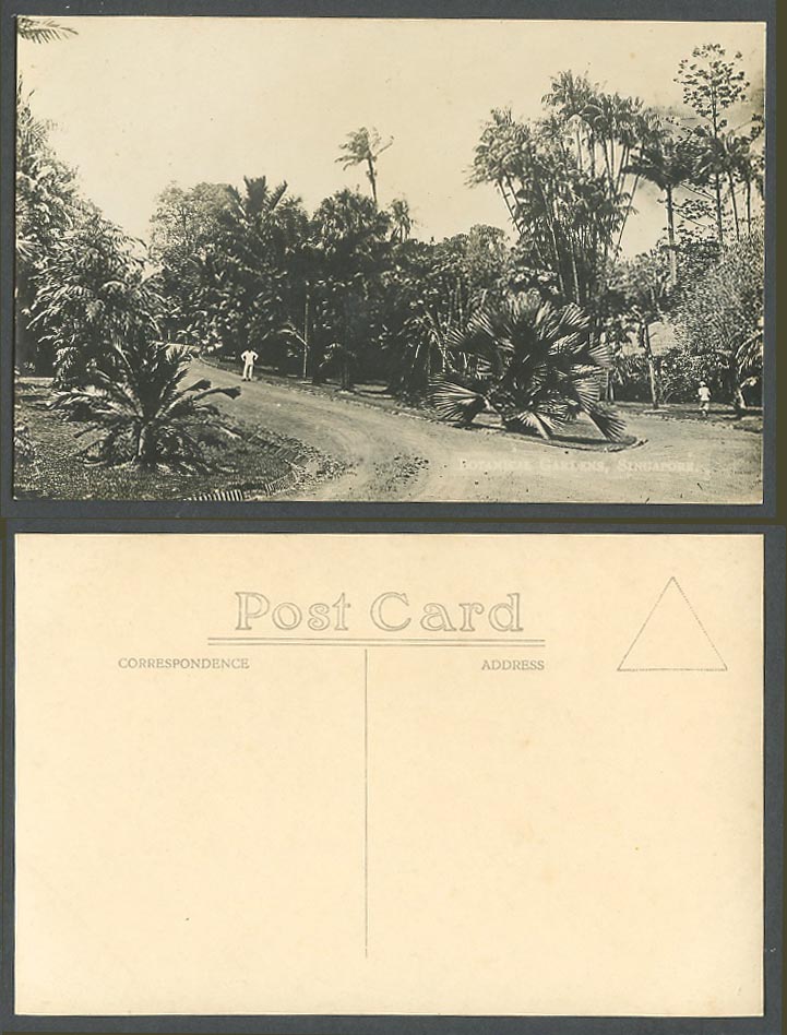 Singapore Old Real Photo Postcard Botanical Garden Botanic Gardens Men Road Path