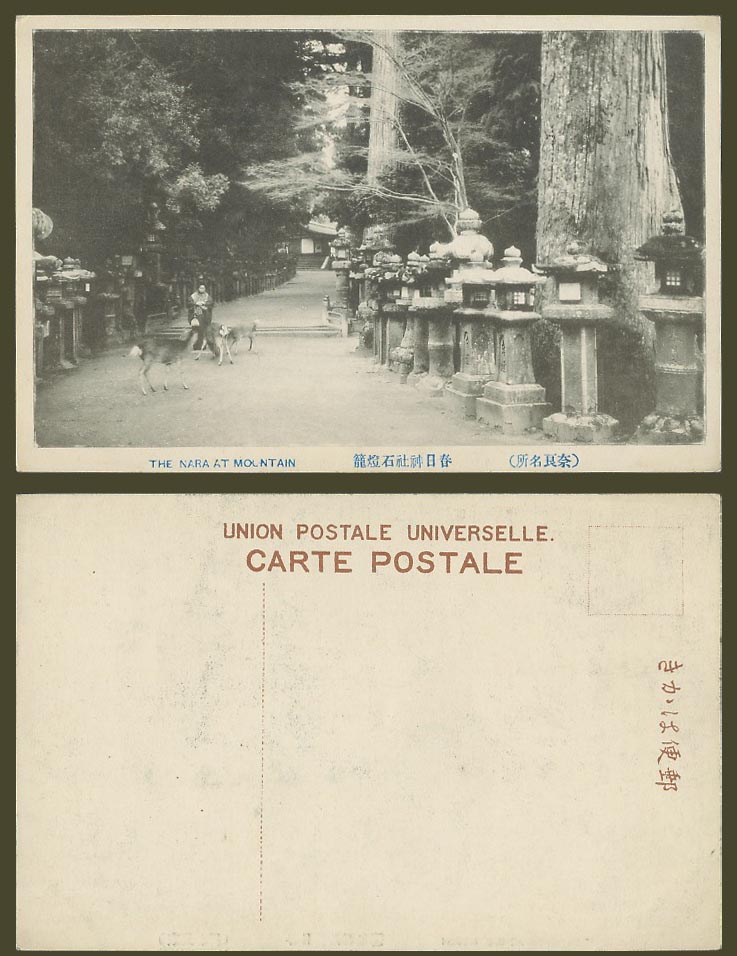 Japan Old Postcard Nara Mountain Deer Kasuga Shrine Temple Stone Lantern 春日神社石燈籠