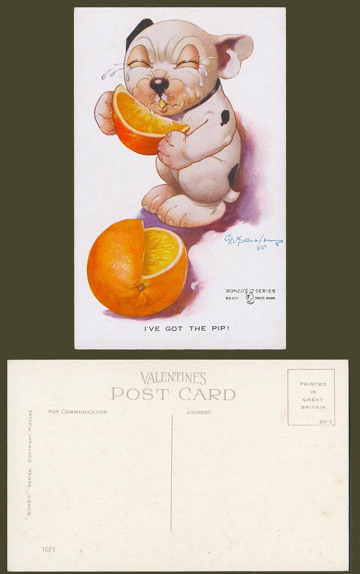 BONZO DOG G.E. Studdy Old Postcard Puppy Eating Orange I've Got The Pip! No.1075