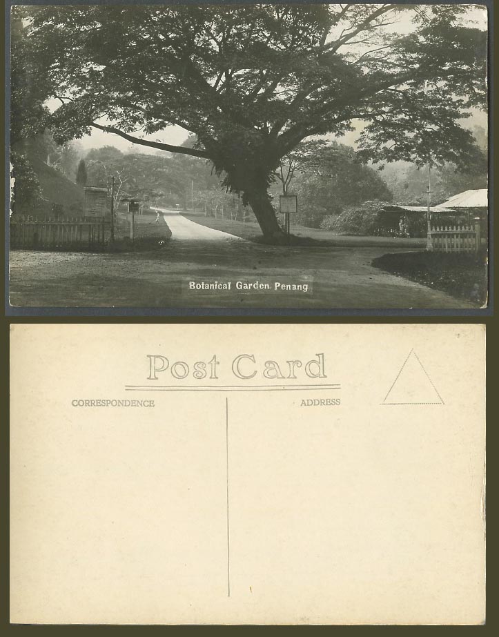 Penang Old Real Photo Postcard Botanical Garden Botanic Gardens Entrance & Trees