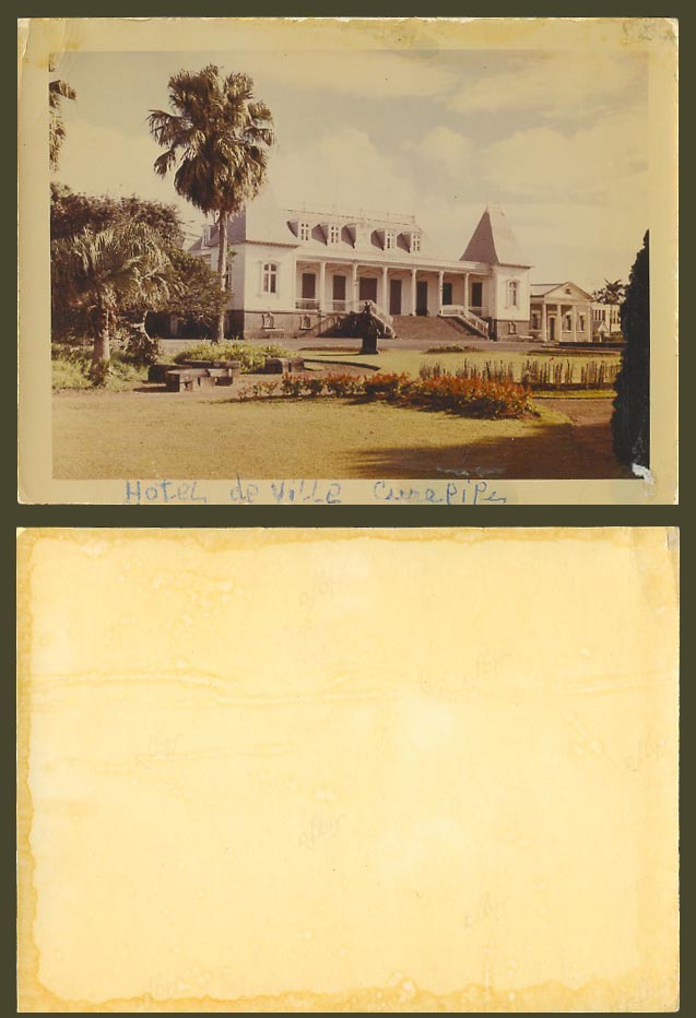 Mauritius c.1960 Colour Real Photo Hotel de Ville Curepipe Town Hall Garden Palm