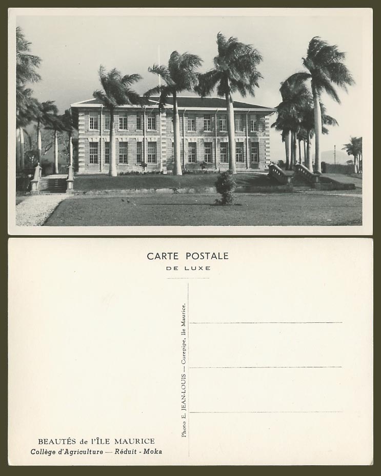 Mauritius Old Real Photo Postcard College d'Agriculture Reduit Moka School Palms