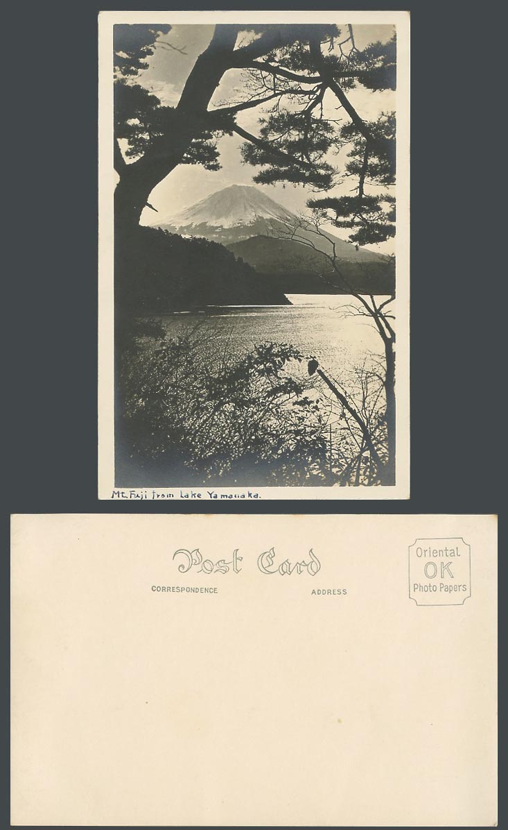 Japan Old Real Photo Postcard Mount Mt. Fuji from Lake Yamanaka, Pine Tree