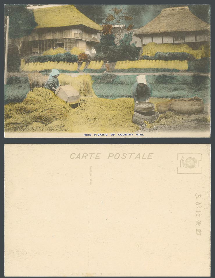 Japan Old Hand Tinted Postcard Rice Picking of Country Girl, Farming Ethnic Life