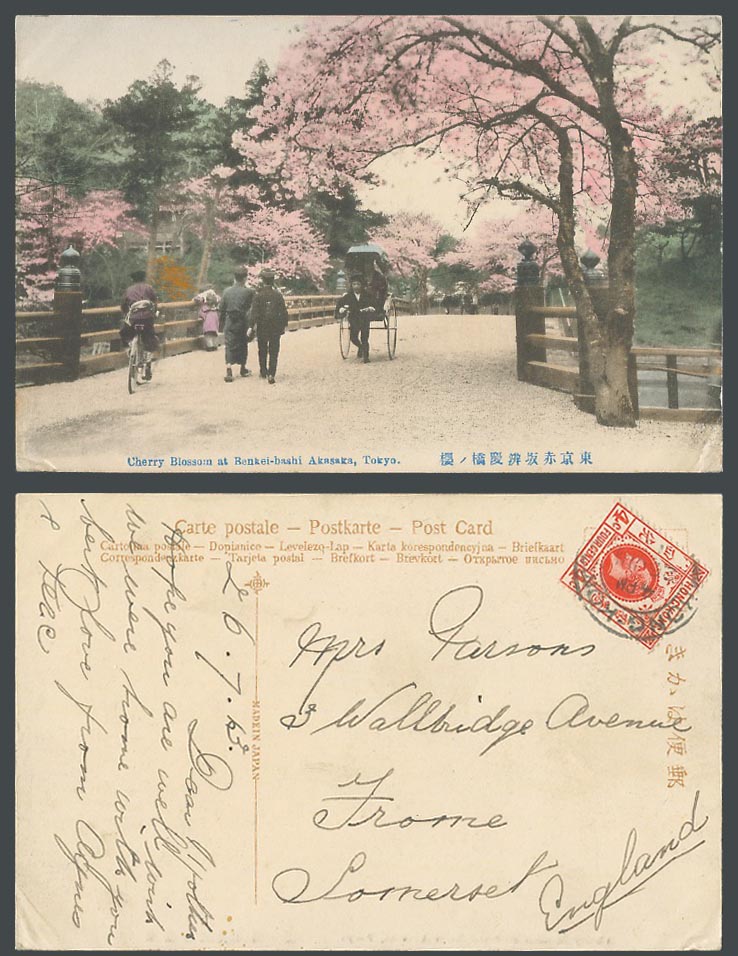 Japan Hong Kong KGV 4c 1913 Old Postcard Cherry Blossom Benkei-bashi Akasaka 辨慶橋