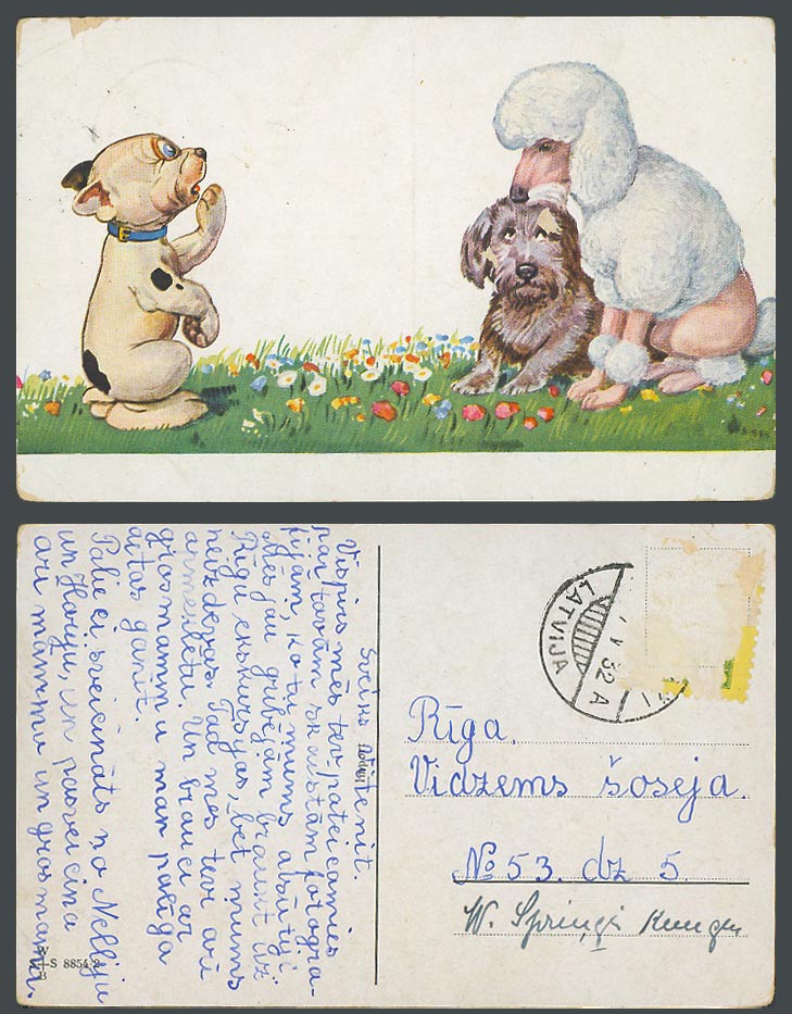 BONZO DOG GE Studdy 1932 Old Postcard Poodle Dog, Dogs Puppies Pets WSSB 8854/2