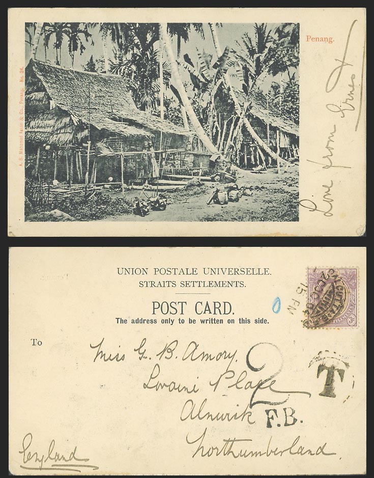 Penang Straits KE7 3c Postage Due 1904 Old UB Postcard Village Houses Palm Trees