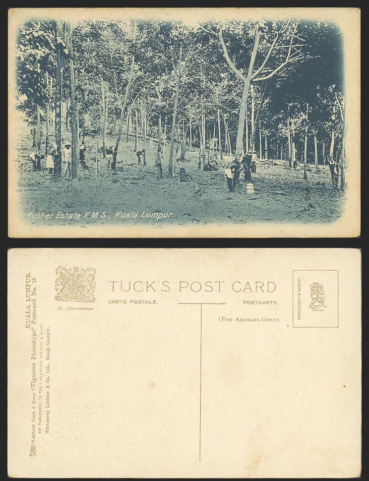 F.M.S. Federated Malay States Kuala Lumpur, Rubber Estate Old Postcard Tuck's 15