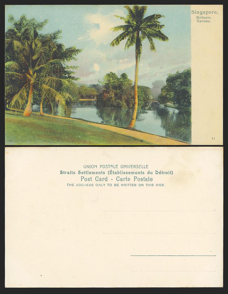 Singapore Old Color Postcard Lake Palm Trees Botanic Botanical Botanical Gardens