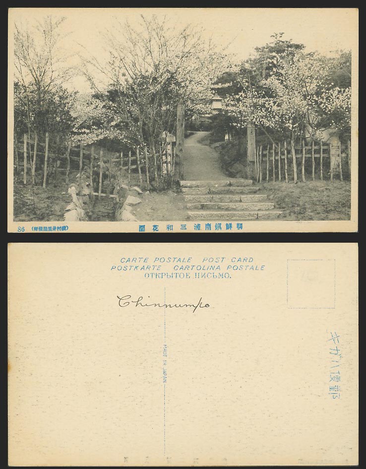 Korea Old Postcard Chosen Nampo Garden Park Steps Blooming Trees 朝鮮鎮南浦三和花園
