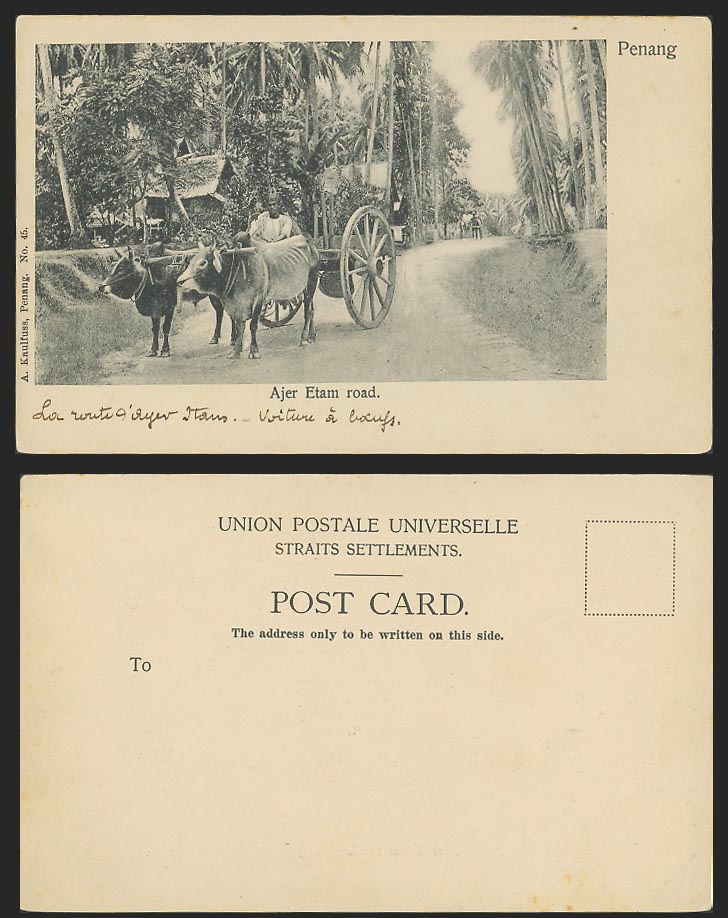 Penang Old UB Postcard Ajer Etam Road Street Scene, Native Bullock Cart & Driver
